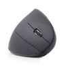 Souris Optique Sans Fil GEMBIRD Ergonomique / Noir