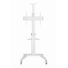 Support de sol Gembird pour téléviseur en aluminium avec roulettes / 37" - 70" / Blanc