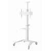 Support de sol Gembird pour téléviseur en aluminium avec roulettes / 37" - 70" / Blanc