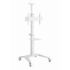 Support de sol Gembird pour téléviseur en aluminium avec roulettes / 37" - 70" / Blanc
