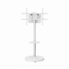Support TV Gembird / 55" - 86" / Blanc