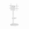 Support TV Gembird / 55" - 86" / Blanc