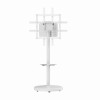 Support TV Gembird / 55" - 86" / Blanc