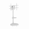 Support TV Gembird / 55" - 86" / Blanc