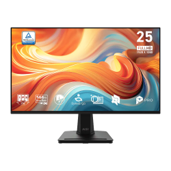 Écran Gaming MSI PRO MP251...