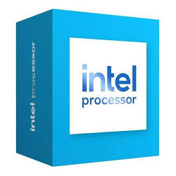 Processeur Intel 300