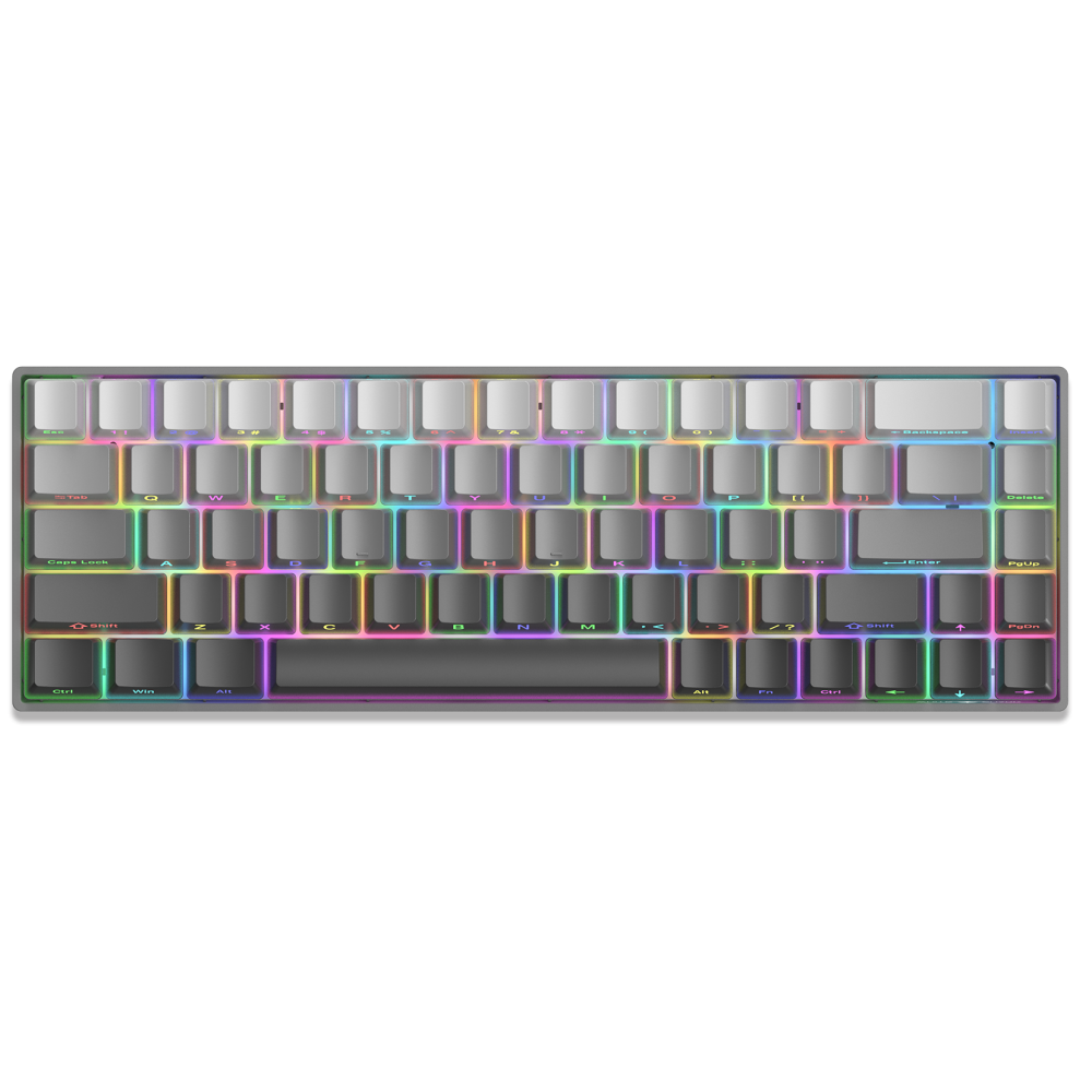 Clavier Gaming Mécanique White Shark GK-00711 NUNCHAKU / RED SWITCH / Gris
