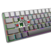 Clavier Gaming Mécanique White Shark GK-00711 NUNCHAKU / RED SWITCH / Gris