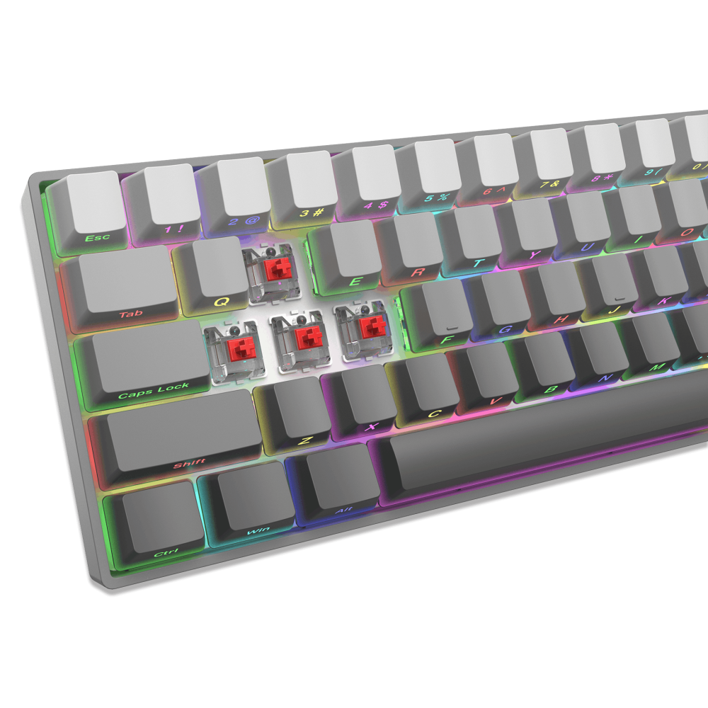 Clavier Gaming Mécanique White Shark GK-00711 NUNCHAKU / RED SWITCH / Gris