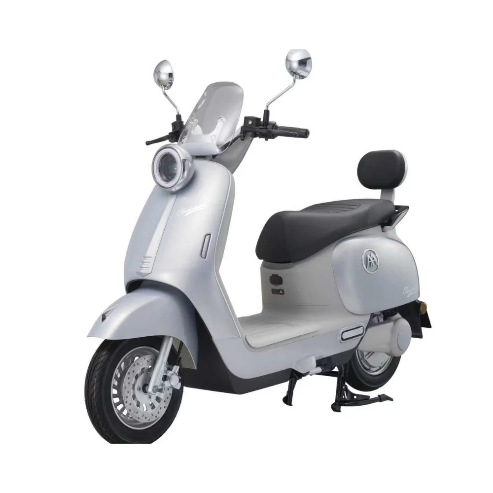 Scooter Électrique Aima Classical 800W / Gris