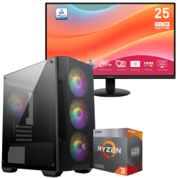 Setup Gamer Special Pc de Bureau Gaming / Ryzen 3 3200G / Vega 8 / 16 Go Avec Écran MSI Pro MP252L 24.5" Full HD IPS / 100 Hz