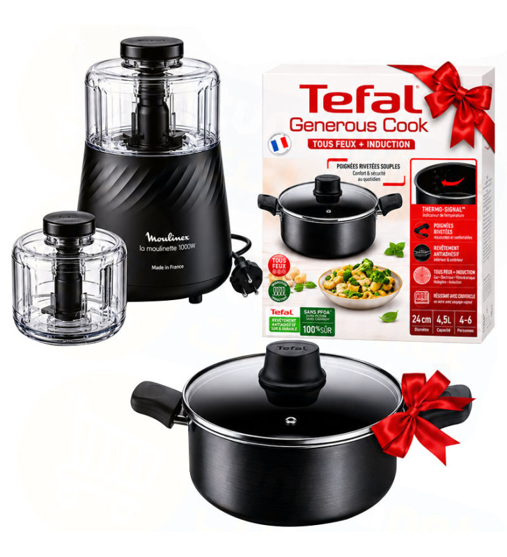 Moulinette MOULINEX 1000W avec Faitout avec Couvercle 24 cm TEFAL + Bol Gratuit Noir