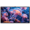 Écran interactif MAXHUB 75'' 60Hz 6.5ms U7540 16GB 256GB ANDROID 15 EDLA +CAMERA