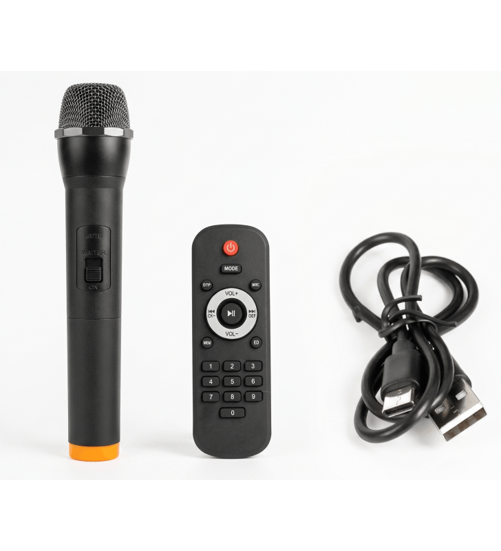 Haut Parleur Bluetooth ZQS-12208  Avec micro sans fil / 6000mAH / 100W / Noir