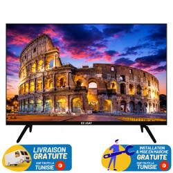TV ECOSAT 32" HD RECEPTEUR SMART INTÉGRÉ