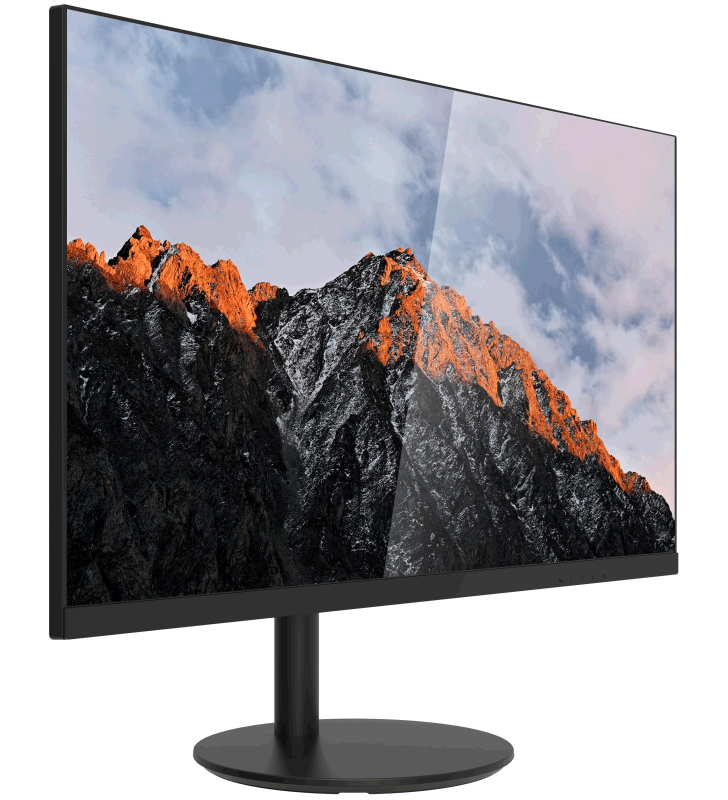 Écran DAHUA 24" Full HD VA / 100 Hz / 5 ms / HDMI / VGA / Noir