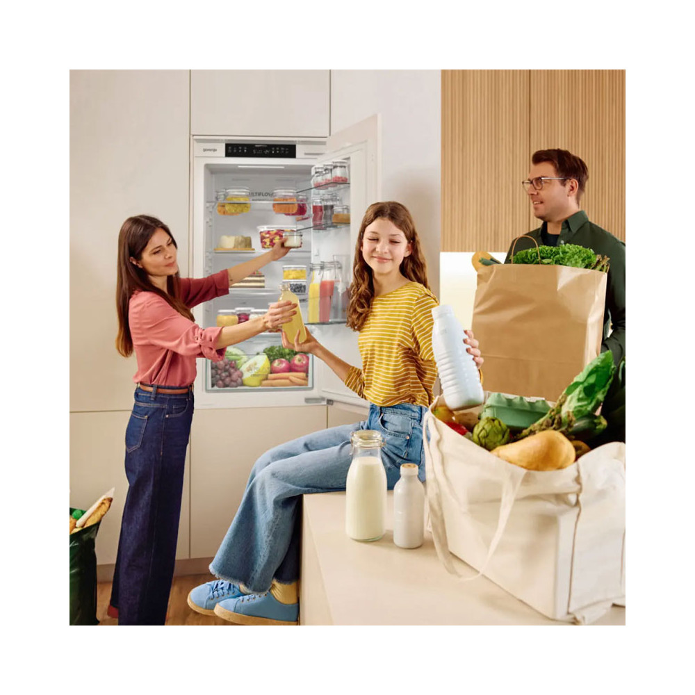 Réfrigérateur Encastrable GORENJE Combiné No Frost 252 Litres / NRKI517E41 / Blanc