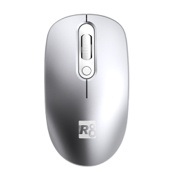 R8 1733 4d Silver