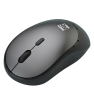 Souris R8 1744 Sans fil 4D / Gris