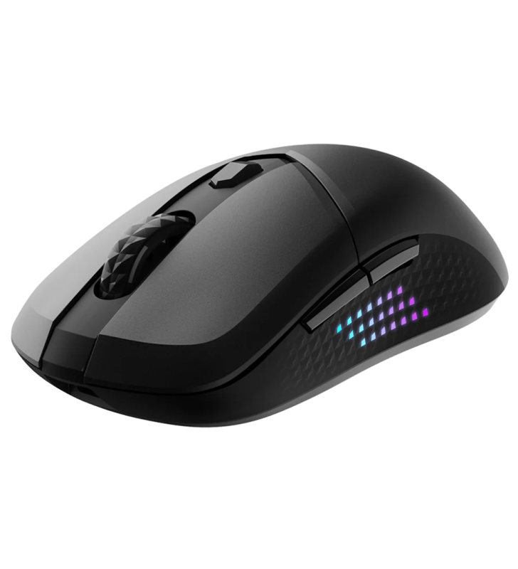 Souris gaming Sans Fil MSI VERSA 300 ELITE W / Noir
