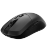Souris gaming Sans Fil MSI VERSA 300 ELITE W 8K / Noir