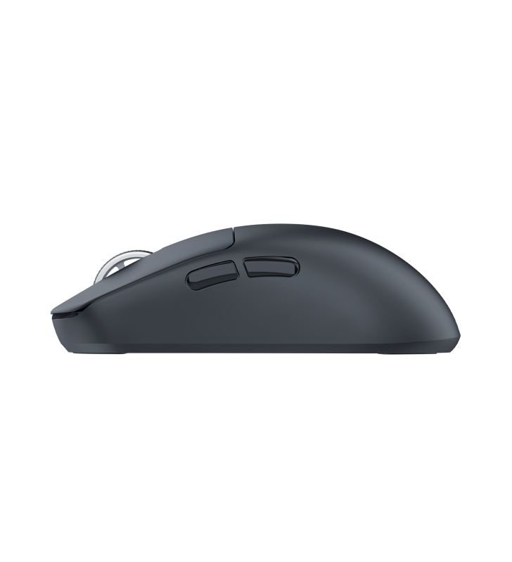 Souris Sans fil Gamer White Shark WGM-5021 BORS / 12.000 DPI / BLACK