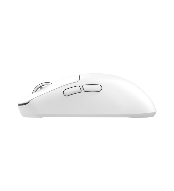 Souris Sans fil Gamer White Shark WGM-5021 BORS / 12.000 DPI / WHITE
