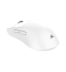 Souris Sans fil Gamer White Shark WGM-5022 LUCAN / 12.000 DPI / WHITE