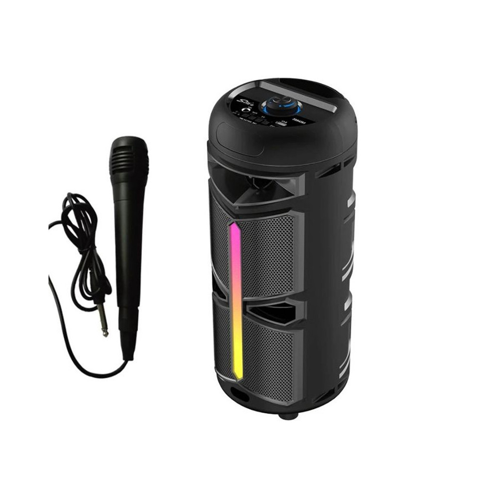 Haut Parleur Bluetooth ZQS 4293 Avec Microphone Karaoké / 20 Watts / Noir