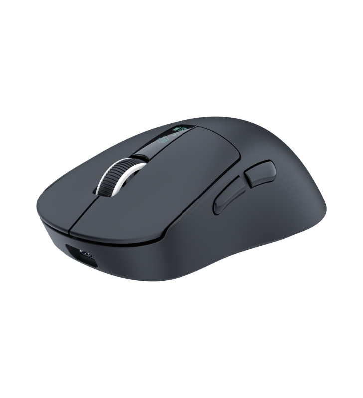 Souris Sans fil Gamer White Shark WGM-5023 GAWAIN / 12.000 DPI / BLACK