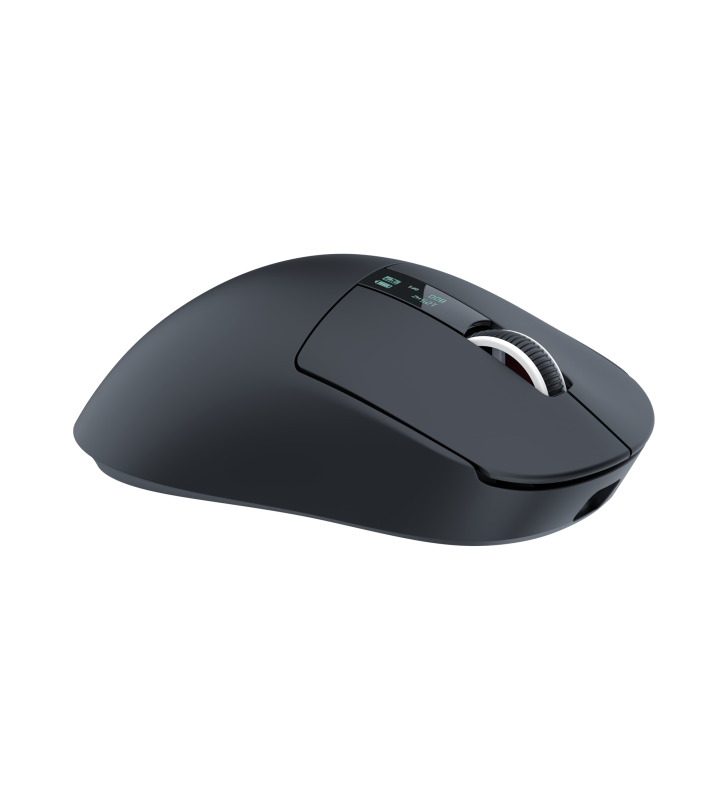 Souris Sans fil Gamer White Shark WGM-5023 GAWAIN / 12.000 DPI / BLACK