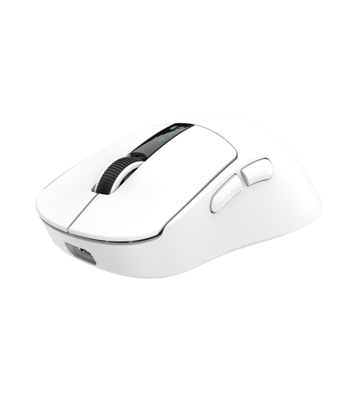 Souris Sans fil Gamer White Shark WGM-5023 GAWAIN / 12.000 DPI / WHITE