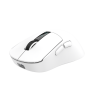 Souris Sans fil Gamer White Shark WGM-5023 GAWAIN / 12.000 DPI / WHITE