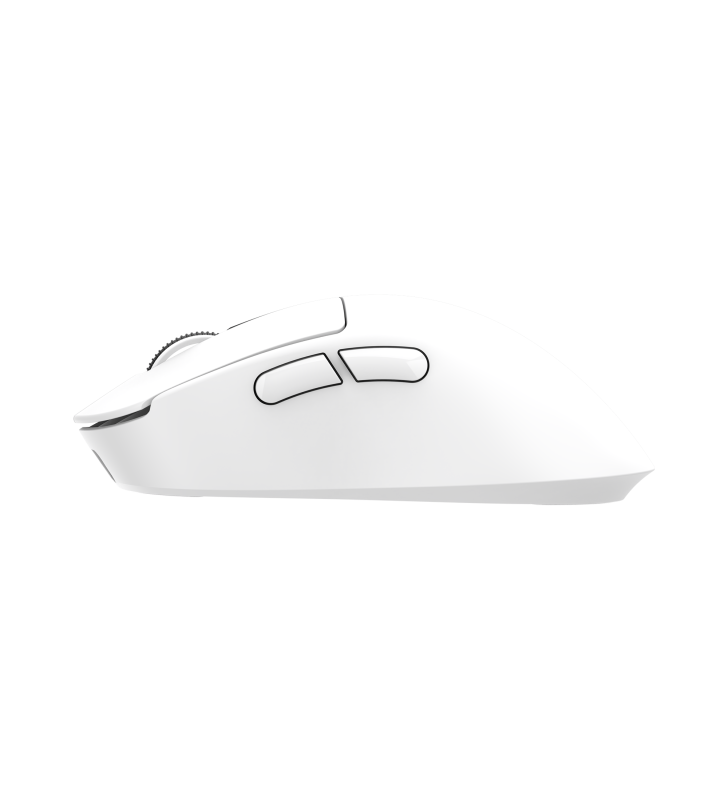 Souris Sans fil Gamer White Shark WGM-5023 GAWAIN / 12.000 DPI / WHITE