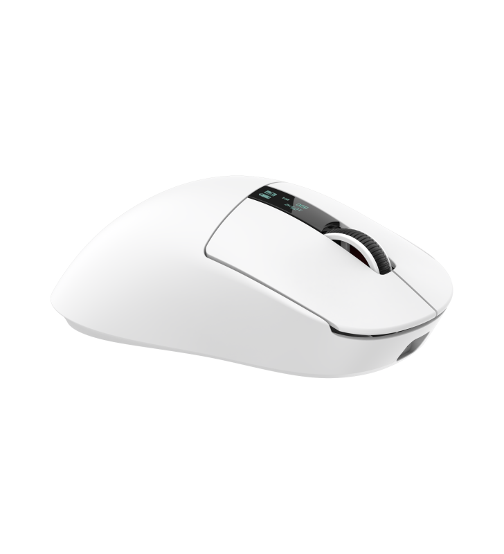 Souris Sans fil Gamer White Shark WGM-5023 GAWAIN / 12.000 DPI / WHITE