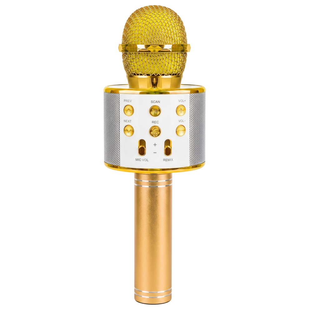 Microphone KARAOKE Bluetooth avec haut-parleur / Gold