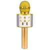 Microphone KARAOKE Bluetooth avec haut-parleur / Gold