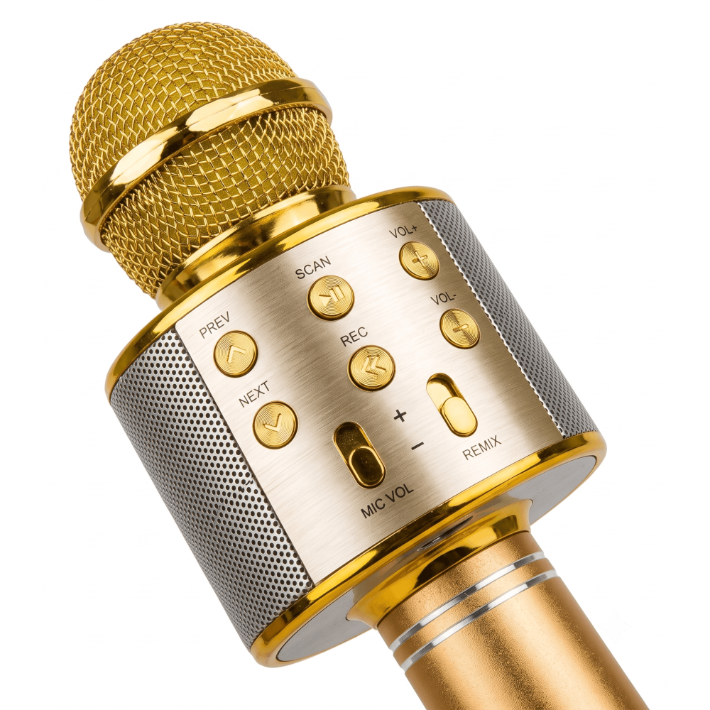 Microphone KARAOKE Bluetooth avec haut-parleur / Gold