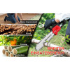 Chainsaw sans fil Avec 2 Batteries NDS-301