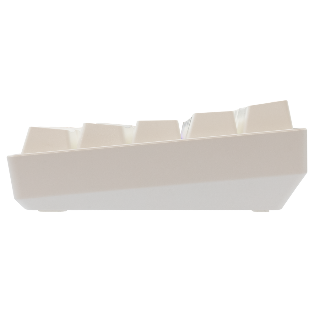 Clavier Gaming  White Shark GK-004221 SHINOBI-2 / White / US - BLUE