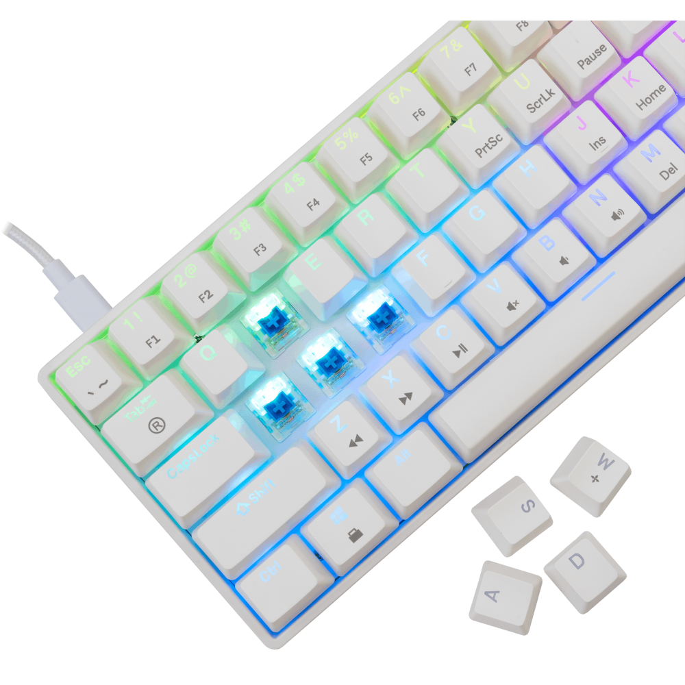 Clavier Gaming  White Shark GK-004221 SHINOBI-2 / White / US - BLUE