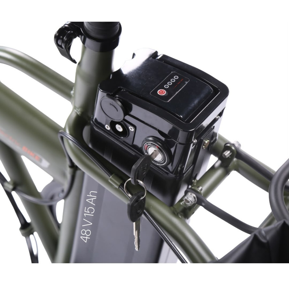 Vélo électrique Promotos Rover-Exelero / 7 vitesses / 800 W / Vert