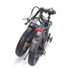 Vélo électrique Promotos Rover-Exelero / 7 vitesses / 800 W / Vert