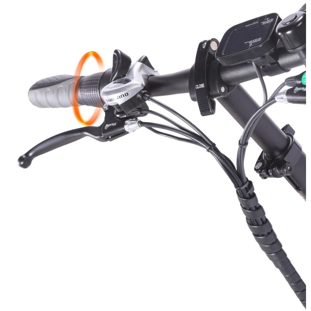 Vélo électrique Promotos Rover-Exelero / 7 vitesses / 800 W / Vert