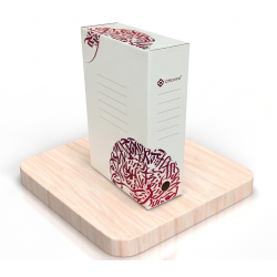 LOT DE 10 BOITE D'ARCHIVE Officeline 2602 / 100mm / Rose