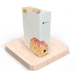 LOT DE 10 BOITE D'ARCHIVE Officeline 2602 / 100mm / Orange
