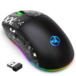 Souris Sans fil Gamer HXSJ T90 RGB / Noir