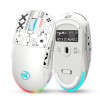 Souris Sans fil Gamer HXSJ T90 RGB / Blanc