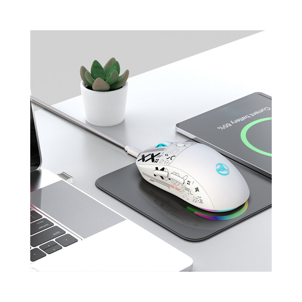 Souris Sans fil Gamer HXSJ T90 RGB / Blanc