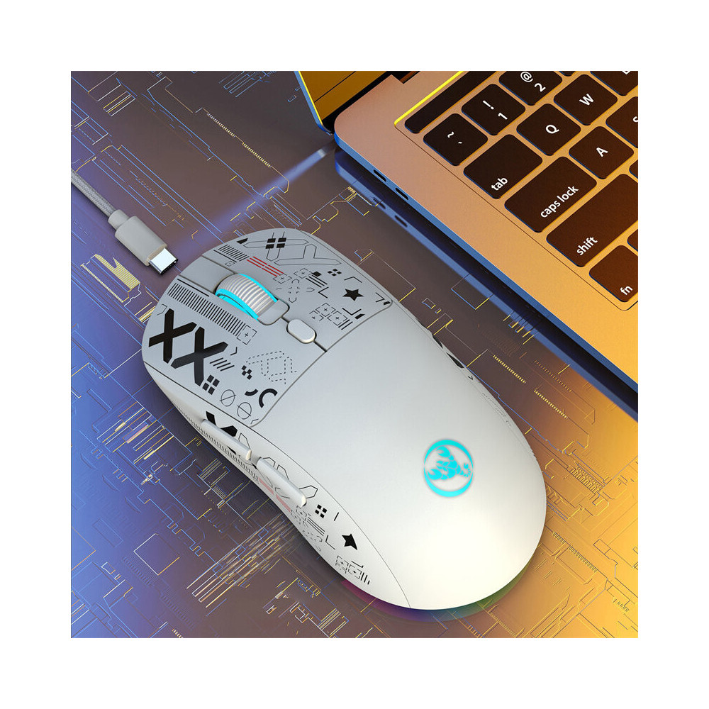 Souris Sans fil Gamer HXSJ T90 RGB / Blanc